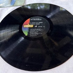 Vintage 1960s Lounge Exotica Instrumental Vinyl 5 LPs Martin Denny Petula Clark