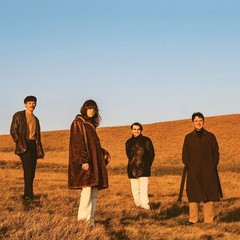 Fur – When You Walk Away – Vinyl Record
