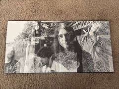 NIRVANA Bleach SUB POP 2XLP 180g 2016 reissue gatefold w/ booklet