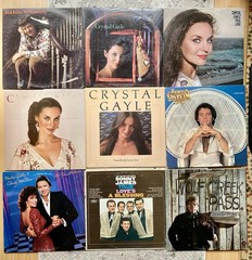 COUNTRY MUSIC VINYL RECORD GRAB BAG! 10 ASST Albums, LP Bulk Lot, FREE SHIPPING!