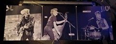 Stray Cats Live At Rockpalast Record Store Day Exclusive 3LP NM- MOV#002542 RSD