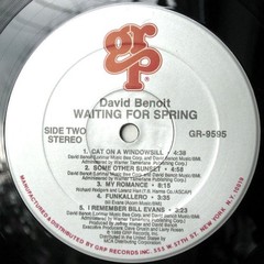 David Benoit – Waiting For Spring (LP) (Mint (M)) – 4251061629