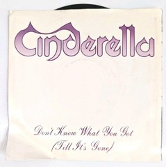 Cinderella: Don’t Know What You Got (Till It’s Gone) / Fire And Ice 7″ 45 VG++