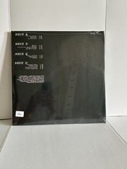 NUMBERED Venturing Ghostholding BLOOD STAIN PURPLE vinyl vertigo jane remover