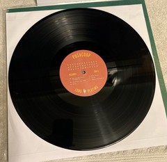 The Presidents of the USA Presidents Of The United States Of America Mint/Vinyl