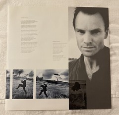 Sting The Dream Of The Blue Turtles Vinyl LP A&M Records SP-03750 1985 w/ insert