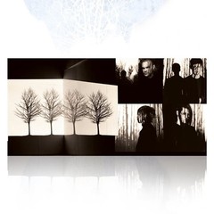 AFI: Decemberunderground IVC Edition 2LP Bone Color Vinyl LE #/3000 🚀 Ships NOW