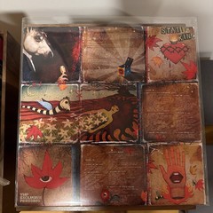 Sparklehorse Box Of Stars Vinyl LP Collection Vinyl Me Please Exclusive Box Set