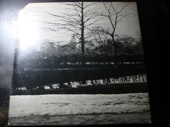 SEALED STEELY DAN PRETZEL LOGIC LP RECORD ORIGINAL NO BARCODE