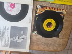MIXED LOT of 12 Children’s 45rpm Vintage RECORDs SHOW N TELL & PETER PAN see PIC