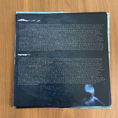 Suturee ‎– Skim The Surface Vinyl LP – Post-Punk / Experimental Band
