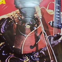 Framed Chuck Berry Back In The USA Vinyl LP Picture Disc 12×12 Wall Art Display