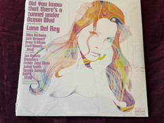 Lana Del Rey Did You Know There’s A Tunnel Under Ocean Blvd Record LP Vinyl