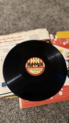 Vintage Lot of 18 1950’s CRG Children’s Records Great Graphics