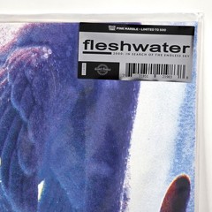 FLESHWATER 2000 In Search of the Endless Sky /500 PINK MARBLE Rough Trade Vinyl
