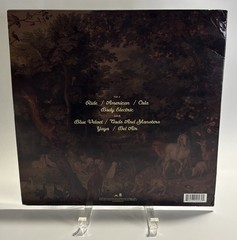 x2 LANA DEL REY LP VINYL Set BORN TO DIE & PARADISE Set Preowned READ