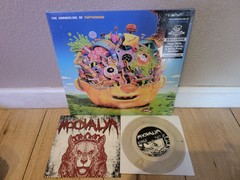 PUP Colored Vinyl LP & Moovalya Colored 7-inch Vinyl Together!