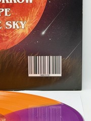 NEW Driveways Skeptic on Purple / Orange Vinyl LP Record October Forever Tempest
