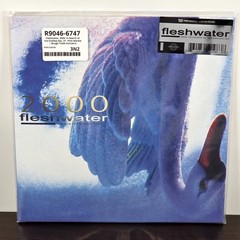 FLESHWATER 2000 In Search of the Endless Sky /500 PINK MARBLE Rough Trade Vinyl