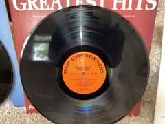 EXOTICA / LOUNGE MUSIC VINYL RECORD GRAB BAG! 10 ASST Albums LP Lot, FREE SHIP!