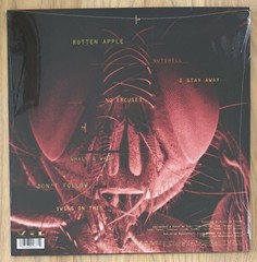 Jar of Flies by Alice in Chains (Vinyl Record) Remastered (2024)