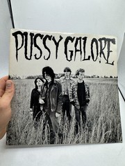 Pussy Galore- Groovy Hate – Vinyl LP Shove Records 1986
