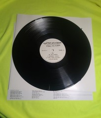 Steal this Album! by System of a Down (Record, 2018)