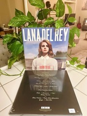 SALE!* LANA DEL REY Born to Die Paradise Ed + 3 Bonus Songs LP LOT EU 2012 MINT!