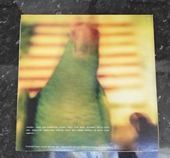 Smashing Pumpkins Pisces Iscariot Clear Yellow Vinyl LP 1994 First Pressing