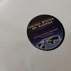 Various – The Underground Sounds Of United States Of America (2×12″)
