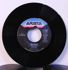 Exposé – Seasons Change – 1987 Arista Pop Dance 45 RPM 7″ Single Record + Pic