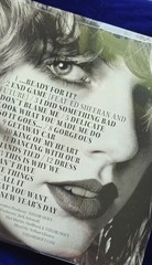 Taylor Swift reputation Picture Disc Vinyl Record Big Machine Records