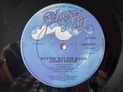 Johnny Winter – Nothin’ But The Blues LP, Album Blue Sky, Blue Sky 1977 Blues SK