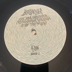 Busdriver Kill Your Employer Recreational Vinyl 12″ 2006 Anti Epitaph VG+/VG++