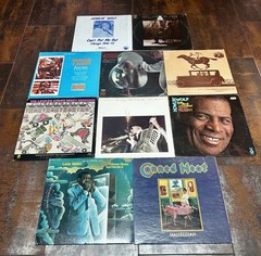 LOT of 10 RARE VINYL LP BLUES RECORDS Howling Wolf Willy Dixon Winter Lil Walter