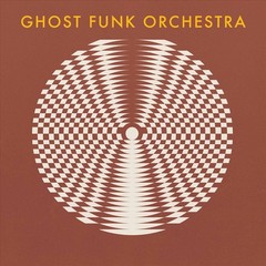 GHOST FUNK ORCHESTRA – WALK LIKE A MOTHERFUCKER/ISAAC HAYES (BLACK VINYL)