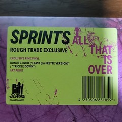 Sprints All That Is Over Rough Trade Exclusive Pink Vinyl + Bonus 7-Inch Artwork