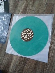 the Struggle Continues LINK 80 Record LP 2000, 2023 SKA PUNK HARDCORE Excellent