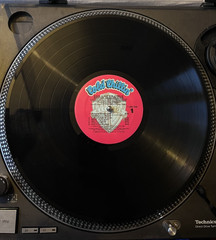 Kool G Rap & D.J. Polo Wanted: Dead Or Alive – Vinyl – (VG+)