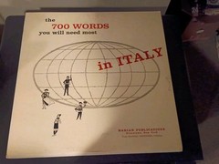 The 700 Words You Will Need Most In Italy, Vinyl Lp Tested Harian Publications
