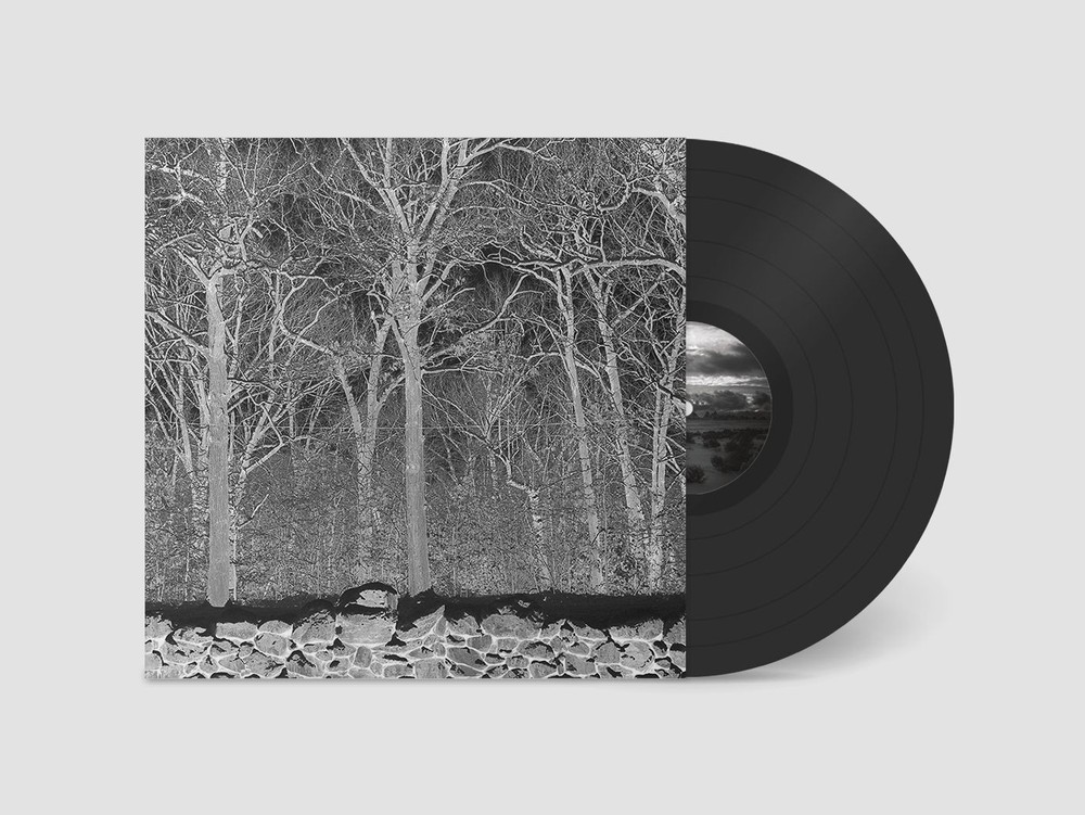 Pile Sunshine and Balance Beams (Vinyl) 12″ Album