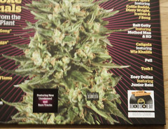 HIGH TIMES Presents Smoke Signals 2017 RSD GREEN Vinyl Record LP NEW SEALED #311