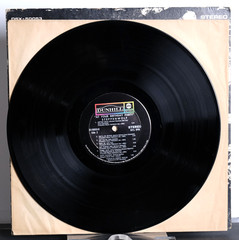 1969 Steppenwolf “At Your Birthday Party” Dunhill DSX-5003 Excellent Stereo LP