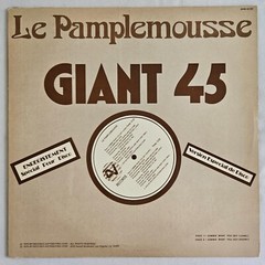 R&B – LE PAMPLEMOUSSE – GIMME WHAT YOU GOT – AVI RECORDS ORIGINAL PRESSING