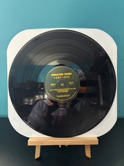 Miniature Tigers – Fortress – Vinyl – RARE