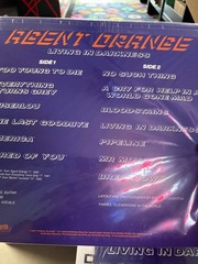 Agent Orange – Living in Darkness