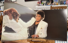 Michael Jackson Thriller (Epic 1982 QE 38112) 1982 Pressing