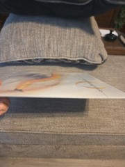 Thirteenth Step by Perfect Circle (Record, 2003) 1st Pressing Mint New Unopened!