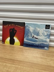 TINK Vinyl Bundle – Winter’s Diary 5 & Heat of the Moment (Sealed LPs)