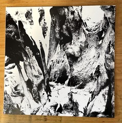 Other Half – Soft Action (LP, Album, Pin) (Near Mint (NM or M-)) – 4259753109